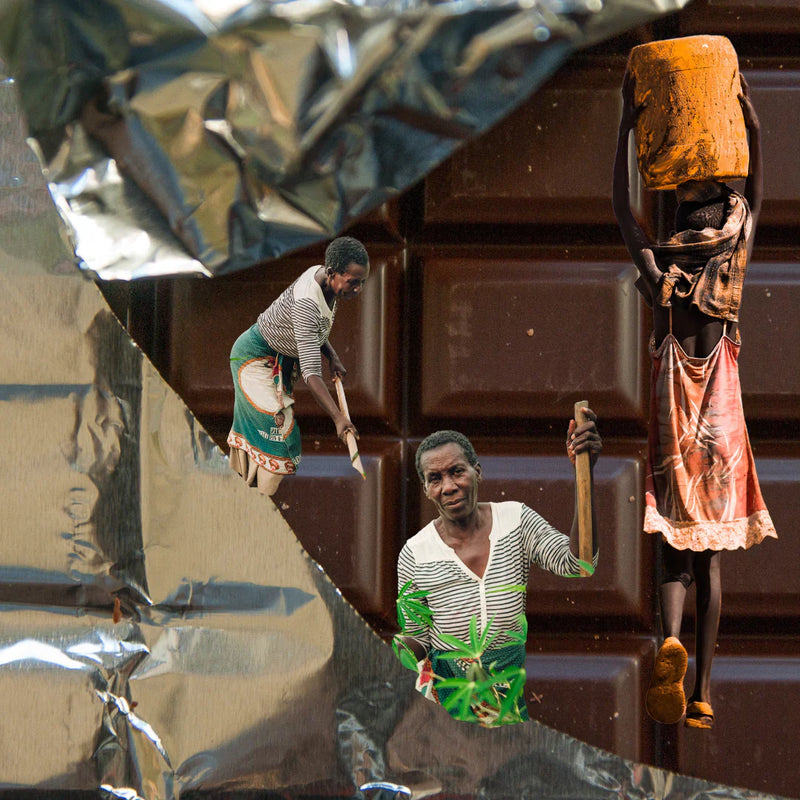 Decolonizing Chocolate, Liberating Cacao