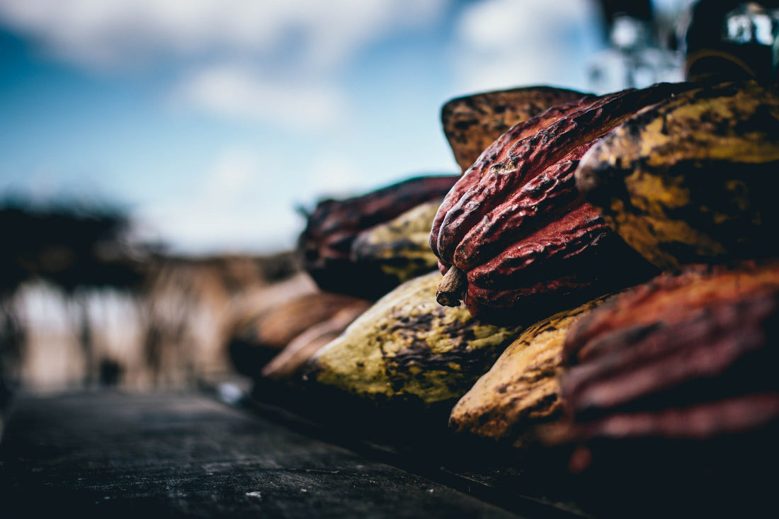 Are There Heavy Metals in my Cacao?