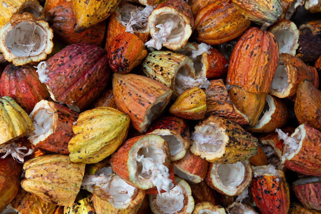 What’s the difference between Cacao and Cocoa?