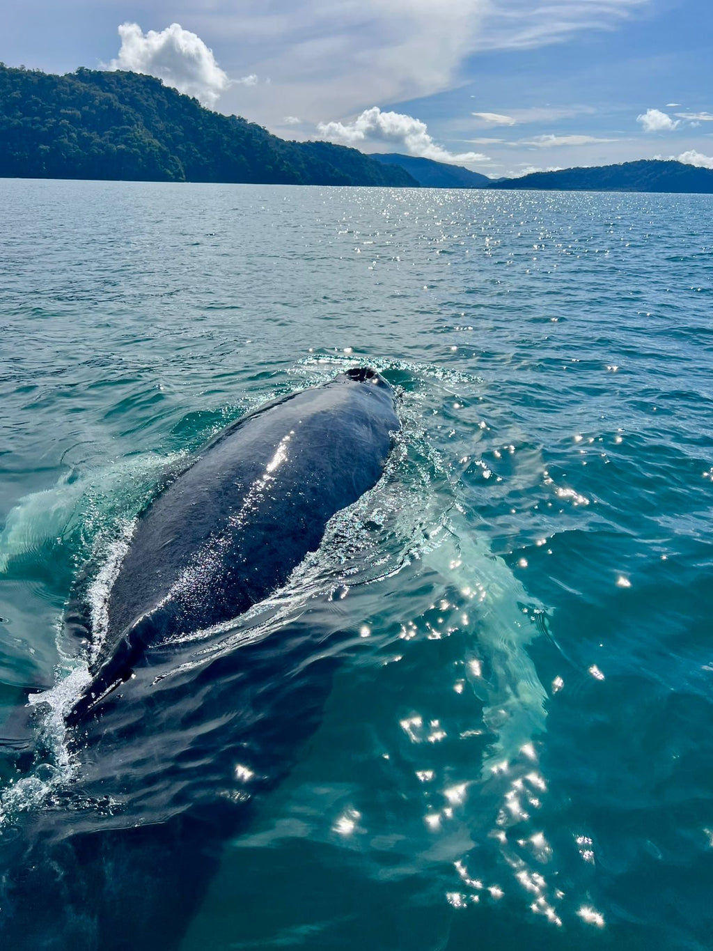 Surf, Cacao & Yoga Immersion | April 3-10 2027
