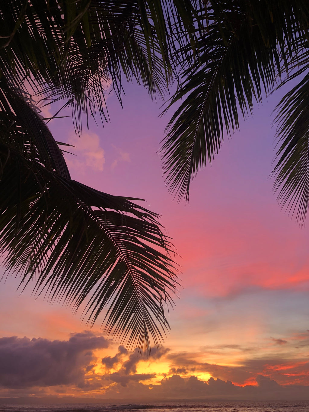 Surf, Cacao & Yoga Immersion | April 3-10 2027