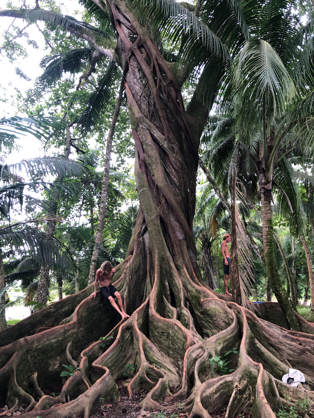 Surf, Cacao & Yoga Immersion | April 3-10 2027
