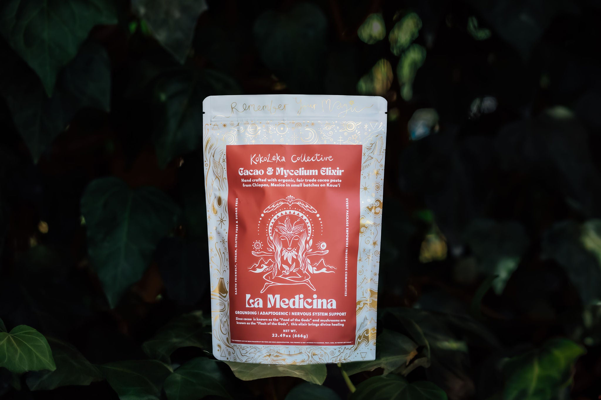 La Medicina